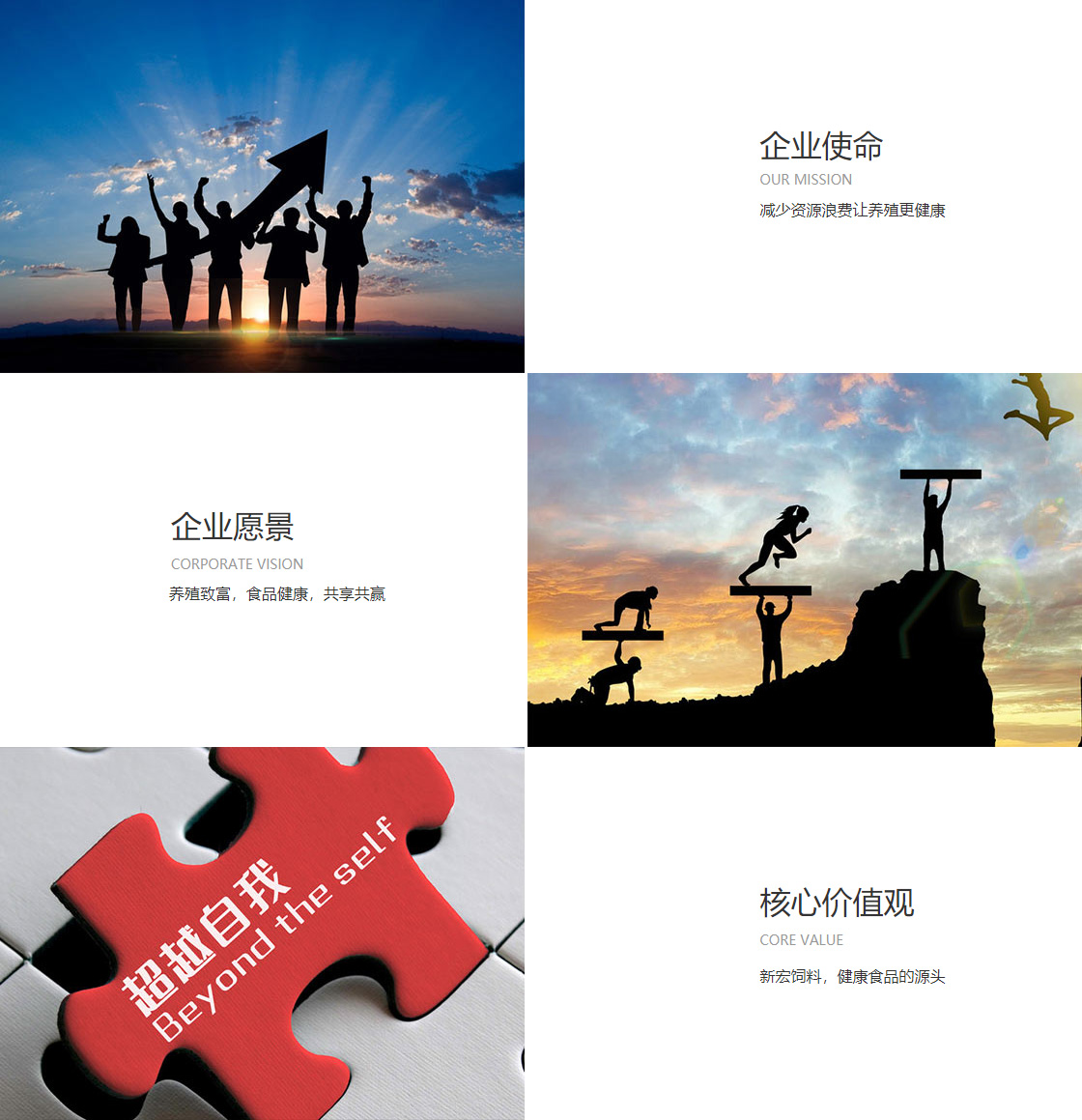haowin体育(图1)